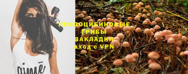 амф Магадан