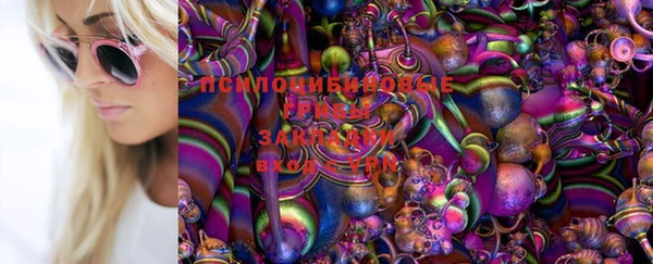 гидропоника Майский