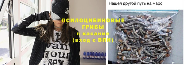 амф Магадан