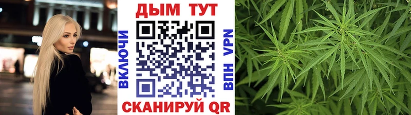 Бошки марихуана LSD WEED  kraken ССЫЛКА  Кущёвская 